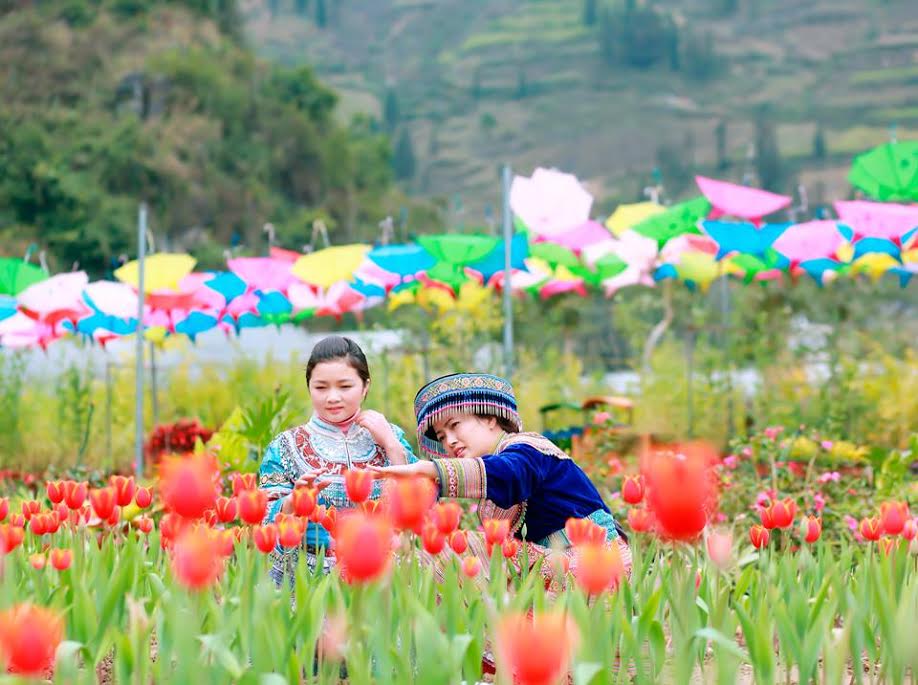 Nhiều bạn trẻ háo hức chụp ảnh bên những vườn hoa Tulip
