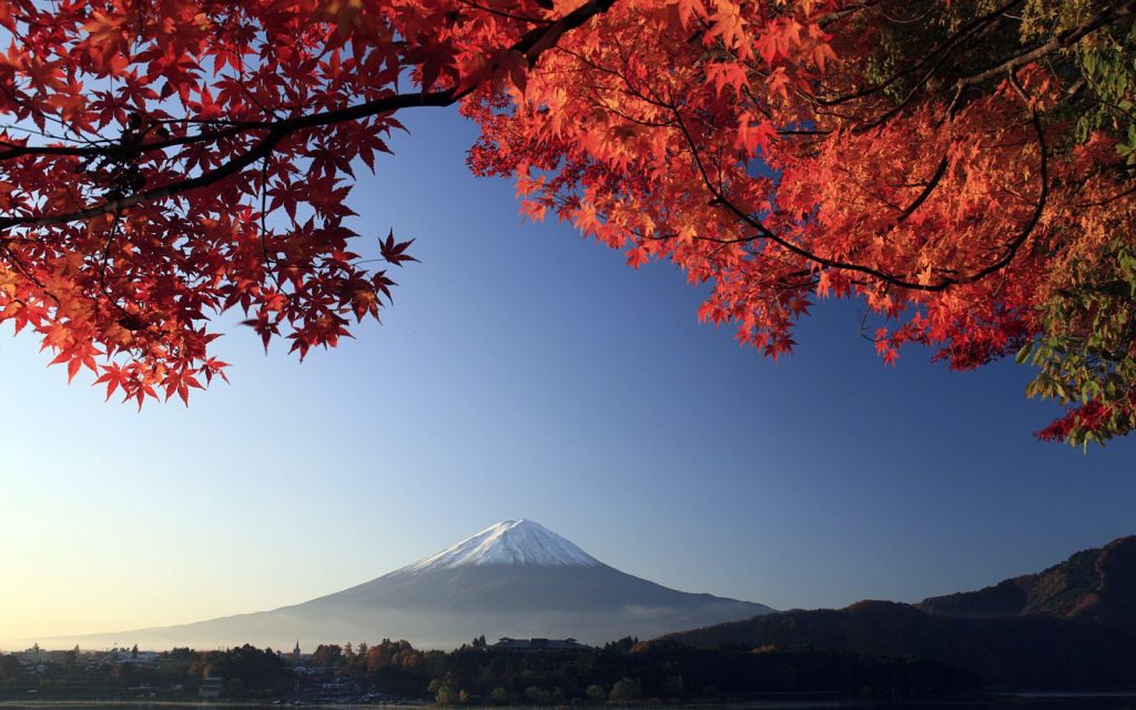 Mùa thu – mùa lá đỏ Momiji