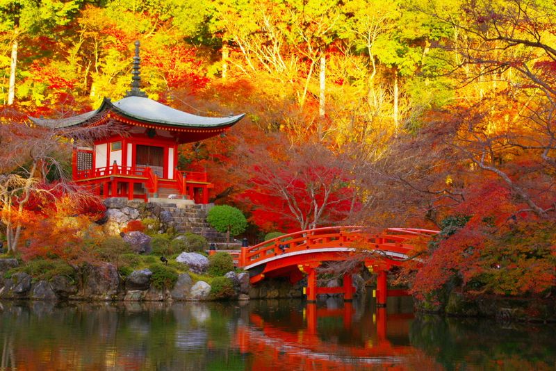 Những địa điểm du lịch đẹp nhất vào mùa thu tại Nhật Bản