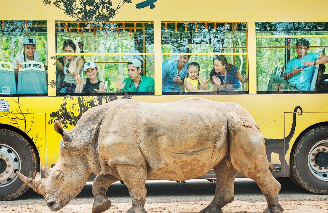 Trải nghiệm "nhốt người thả thú" tại Vinpearl Safari Phú Quốc