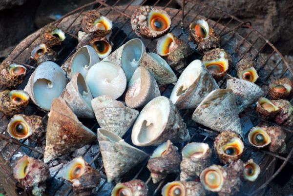 Ốc vú nàng - món ăn không thể bỏ qua khi du lịch Côn Đảo