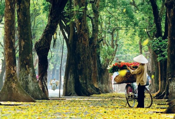 Mùa thu lãng mạn ở Hà Nội
