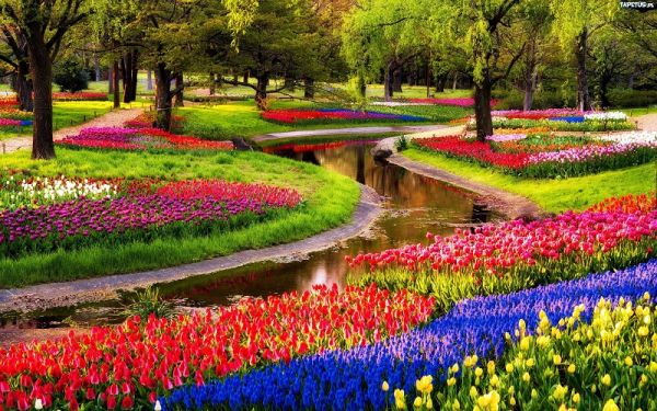 Khung cảnh tuyệt đẹp của Hà Lan - xứ sở hoa Tulip
