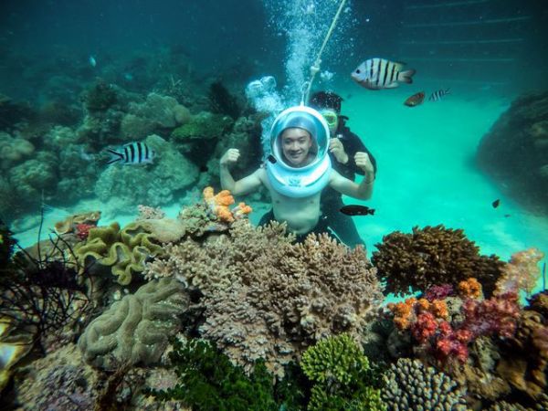 Vịnh Côn Sơn - Điểm lặn ngắm san hô siêu hấp dẫn tại Côn Đảo