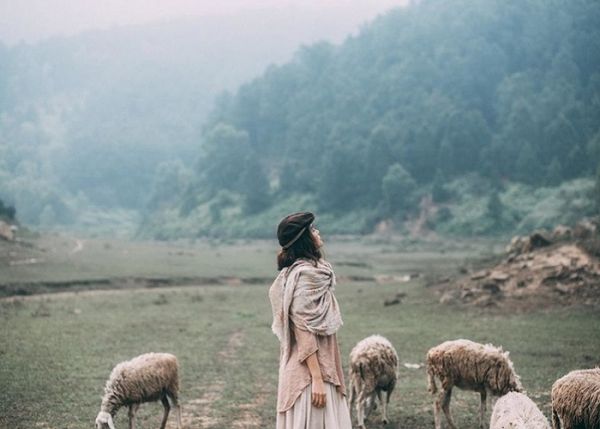 Cánh đồng nuôi cừu đẹp tựa trời Âu