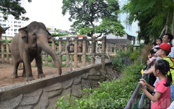 Tham quan vườn thú rộng lớn tại Thảo Cầm Viên Sài Gòn