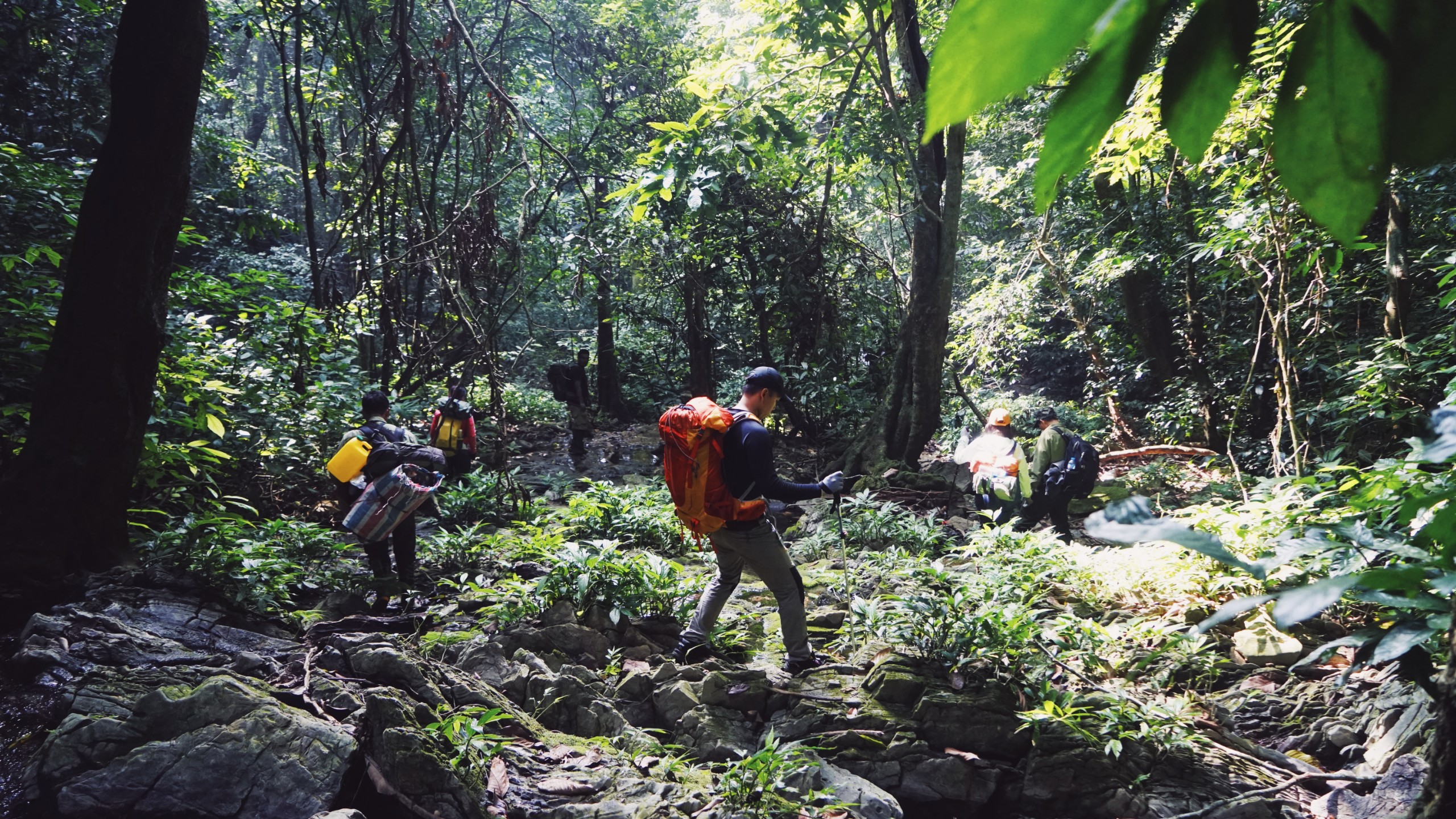 Địa điểm trekking ở Việt Nam