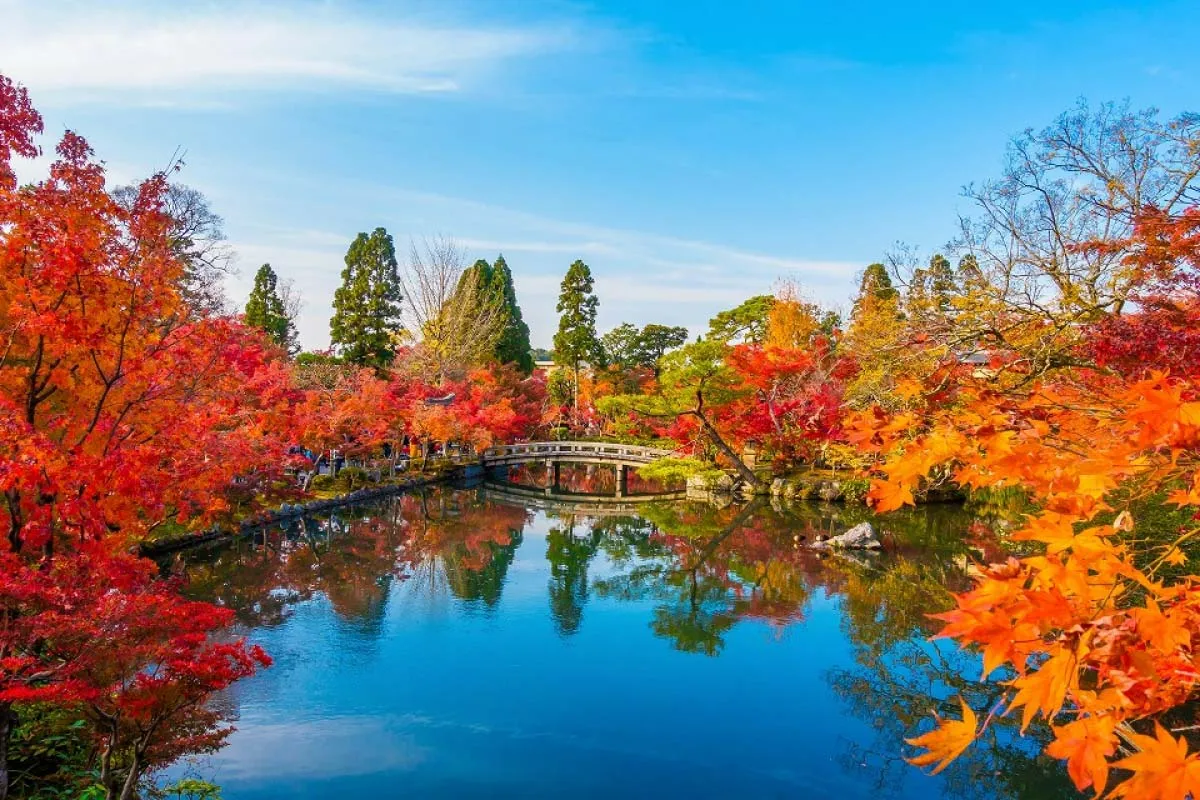 Nhật Bản lãng mạn vào mùa thu