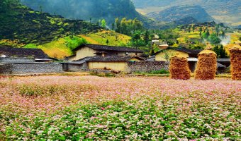 Vé máy bay giá rẻ đi Hà Giang