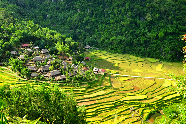 Vé máy bay tết đi Thanh Hóa