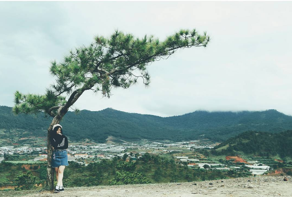 Vé máy bay đi Đà Lạt