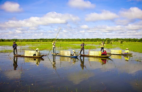 Khám phá vẻ đẹp mùa nước nổi ở miền Tây