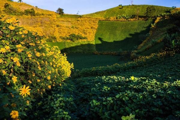 Thời gian bay từ Hà Nội tới Pleiku