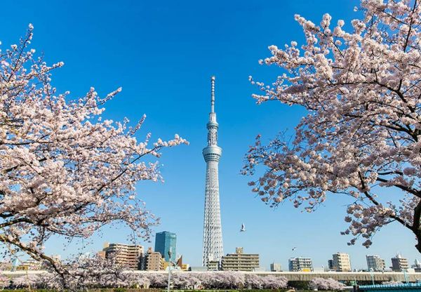 Thời gian bay từ Hà Nội đến Tokyo