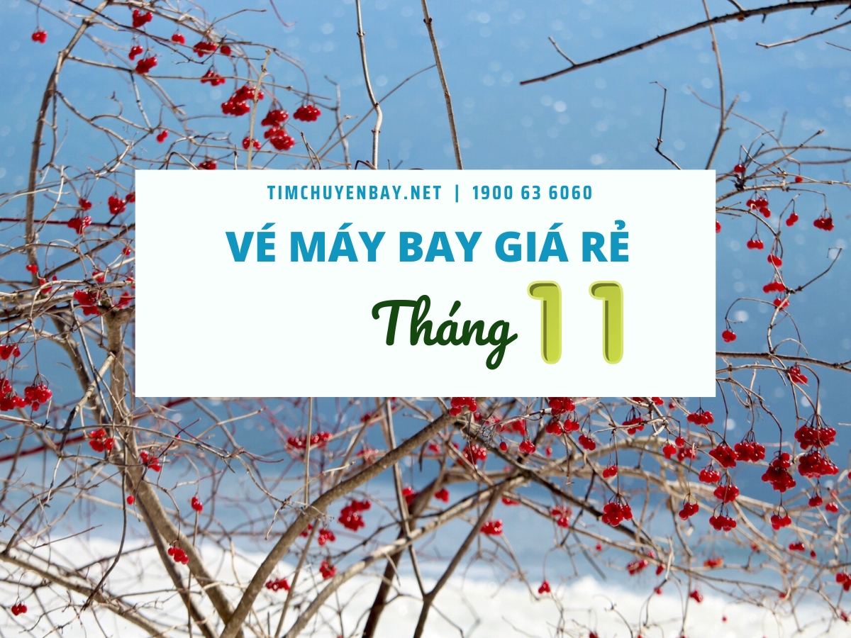 Vé máy bay giá rẻ tháng 11 chỉ từ 190.000